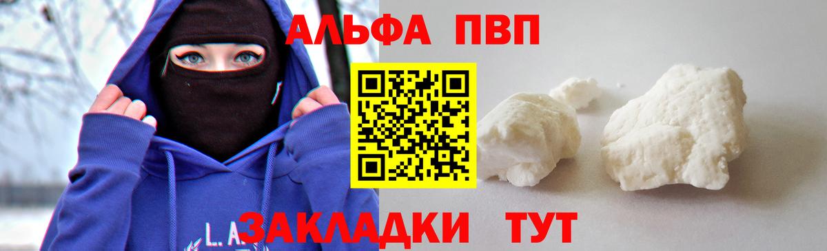 Альфа ПВП СК Каменка