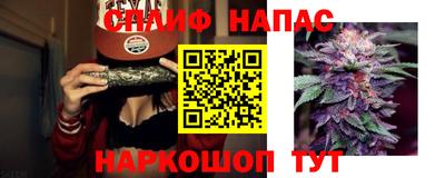 сатива Кумертау