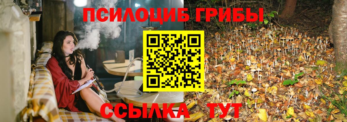 Псилоцибиновые грибы GOLDEN TEACHER  Вход с VPN  Каменка 