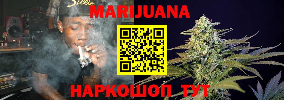 Бошки Шишки планчик Каменка